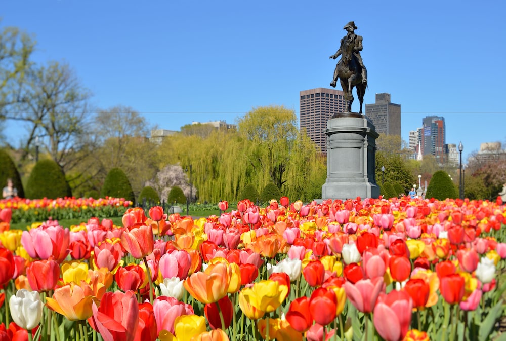 Boston Vacations - Remarkable One Bedroom Suite - Property Image 11