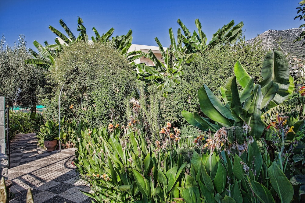 Photo 14