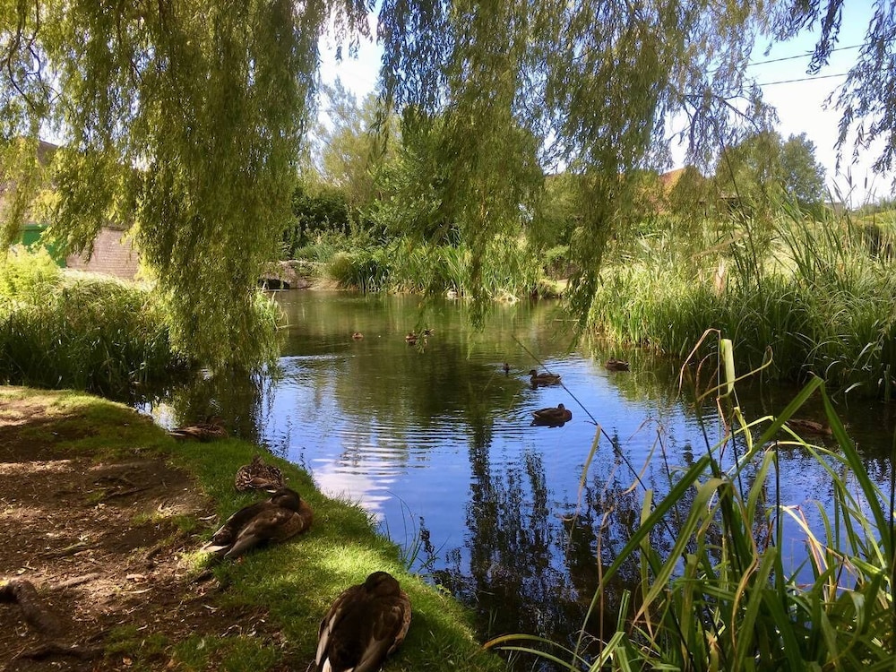 Photo 7