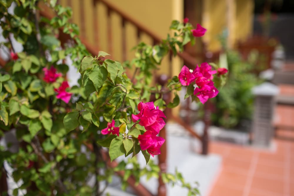 An Sen Boutique Villas
