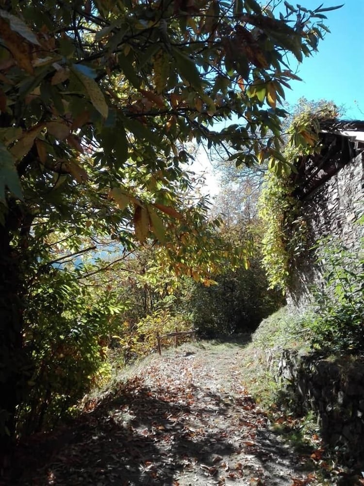 Photo 47