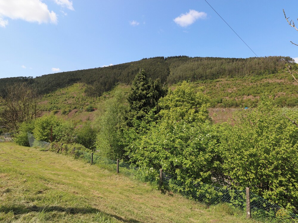 Afan House