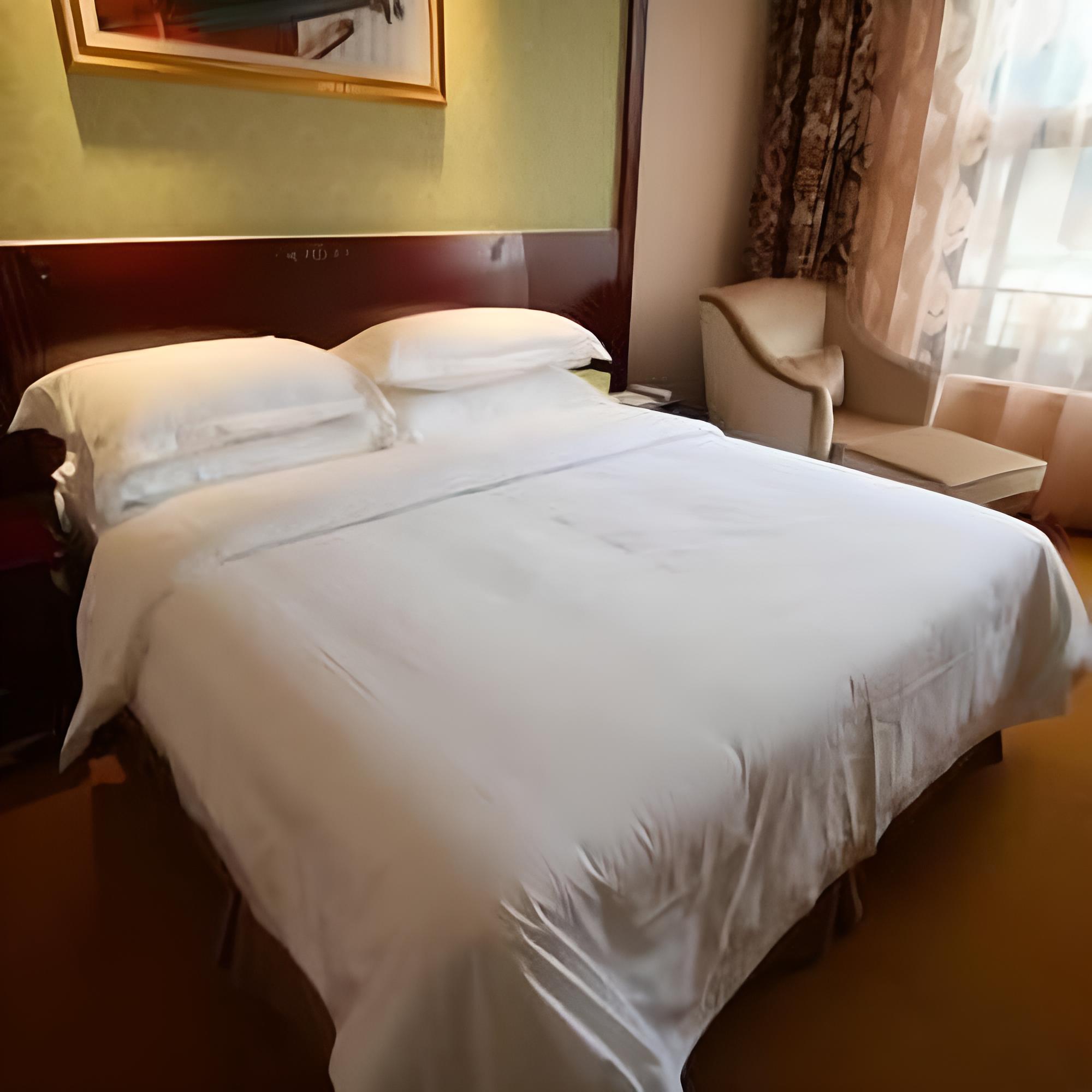 Vienna Hotel