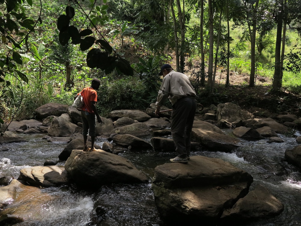 Simbamwenni Lodge and Camping, photo 13