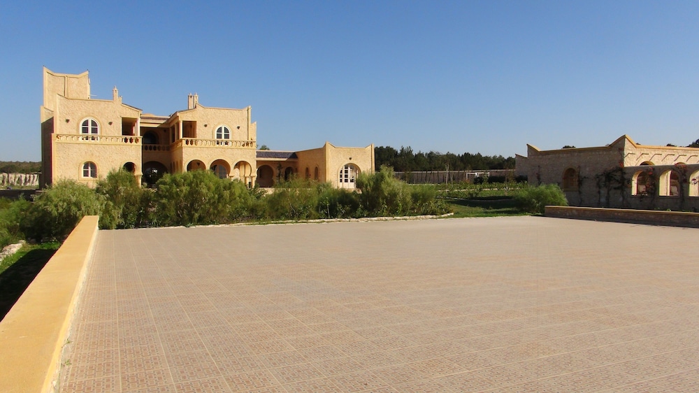 Photo 22