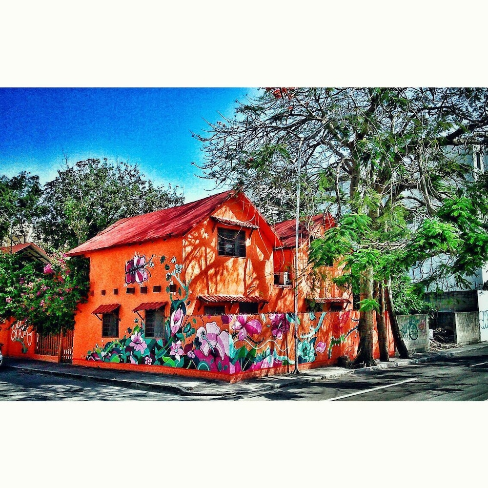 Casa Kiwi