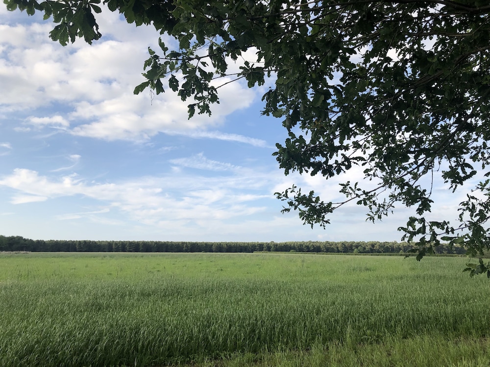 Photo 29
