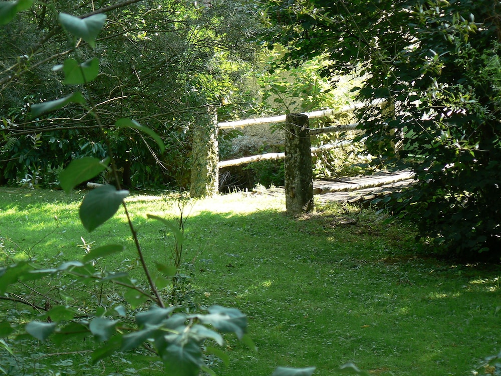 Photo 41