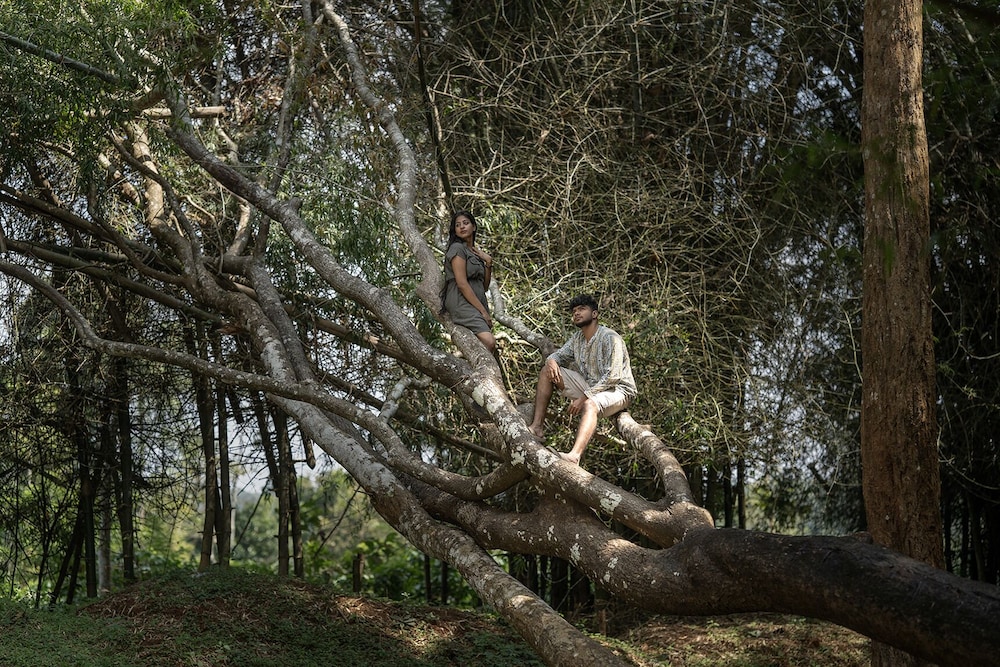 Crystal Kuruva Nature Resort & Spa