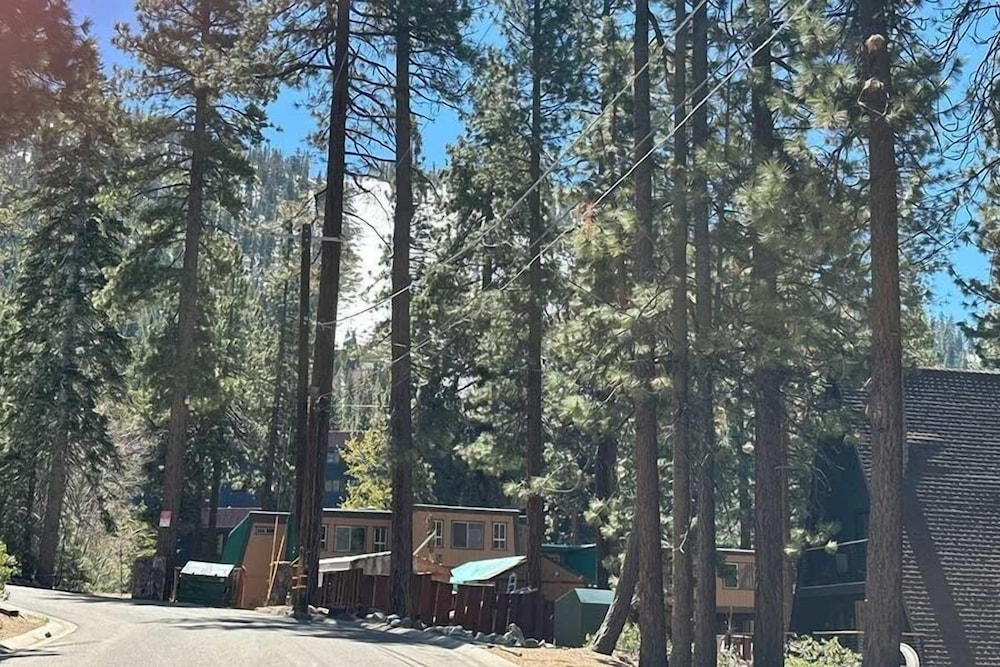 1503 Bonita Road 4 Bedroom Cabin by RedAwning