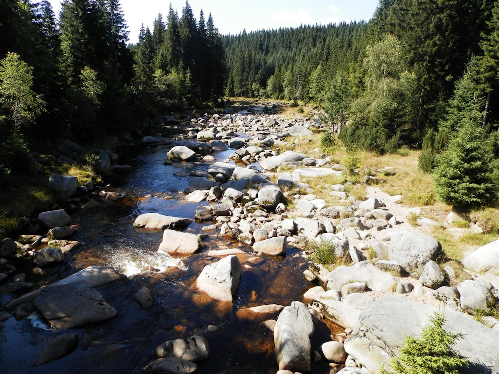 Photo 34