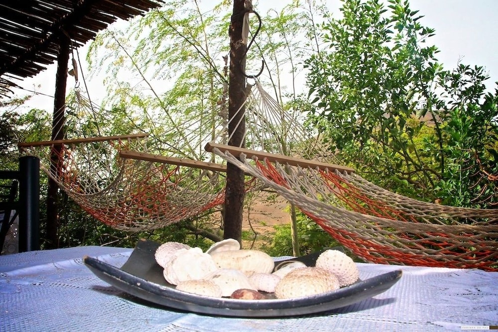 Farinha de Pau - Eco Rural Project