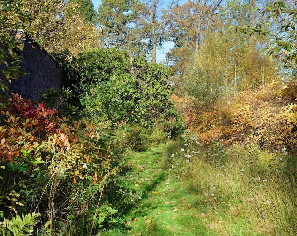 Finnich Cottages