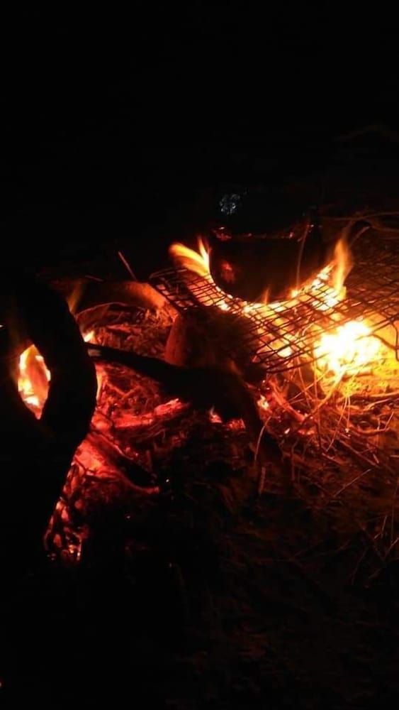 Photo 44