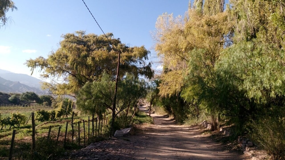 La Quinta de María -Tilcara
