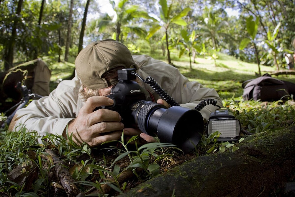 Bosque del Cabo Rain Forest Lodge