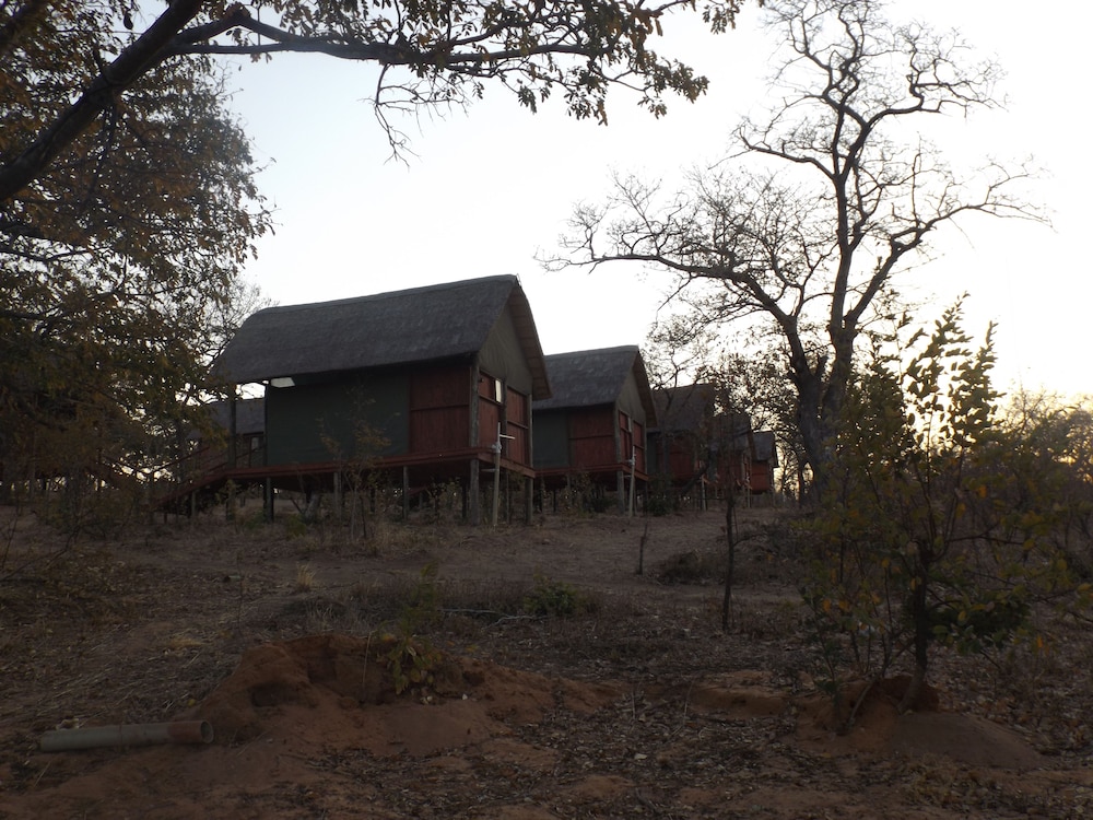Lion Roars Lodge