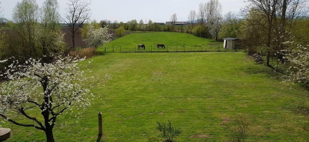 Le Moulin de Krautergersheim - Property Image 3