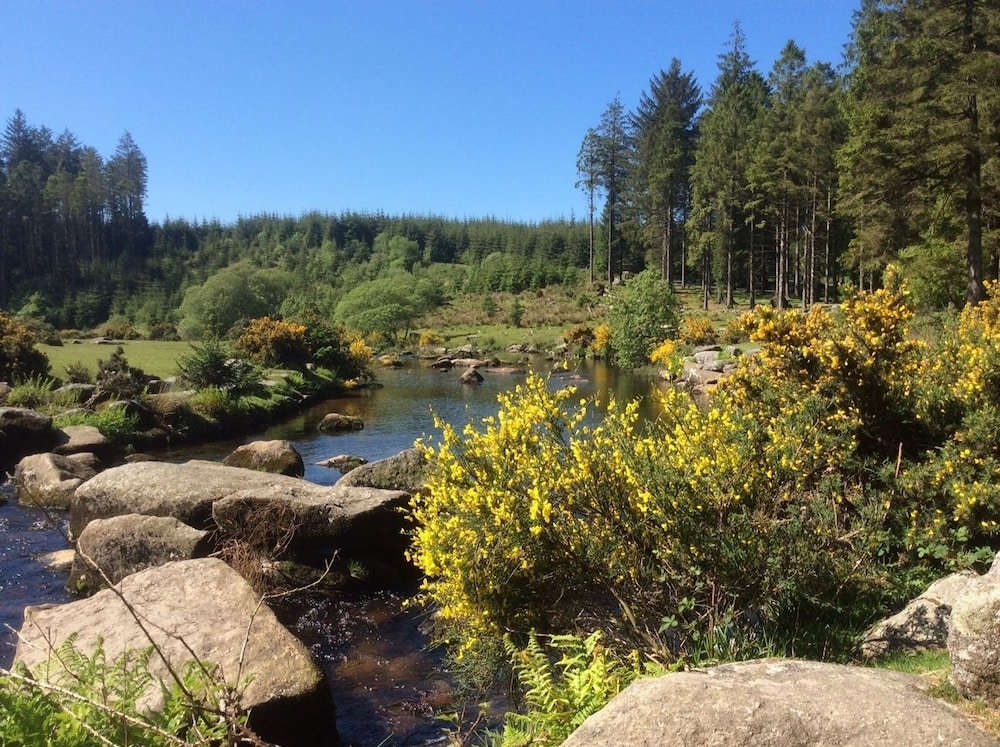 Yelverton Vacations - Two Bridges Hotel - Property Image 3