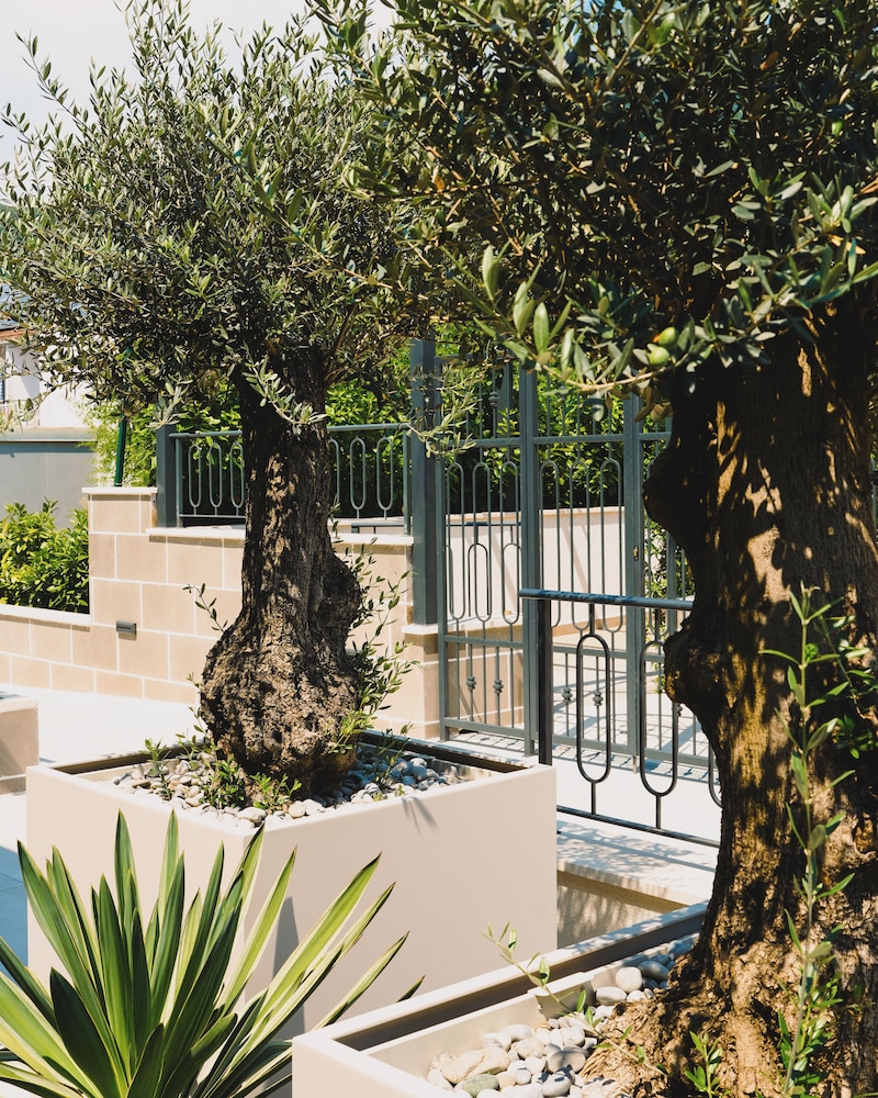 Dimitris Residence