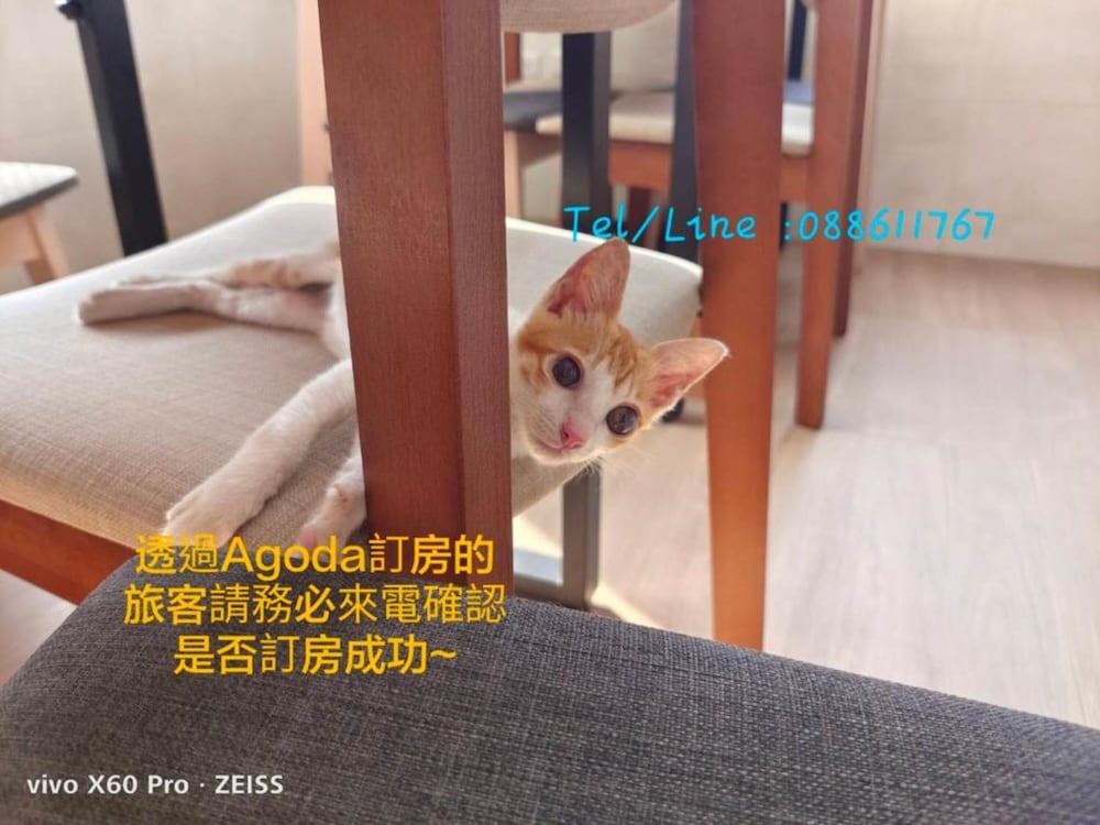 Photo 32