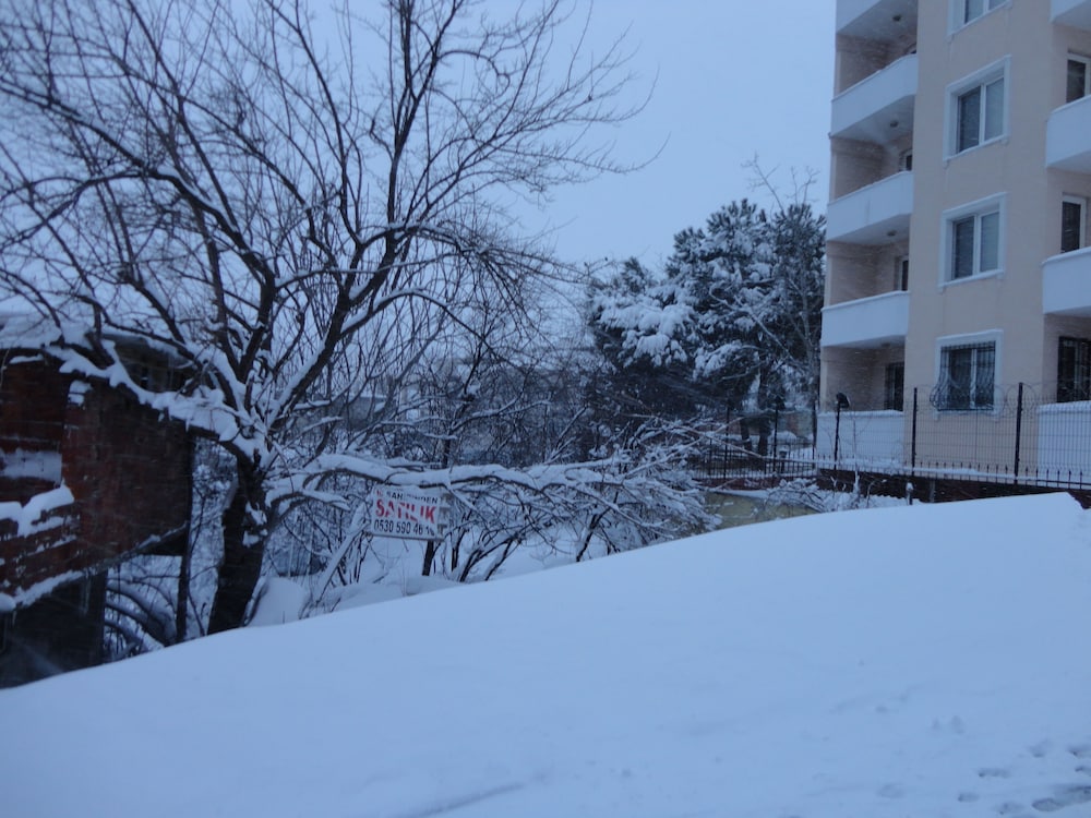 Artura Süit - Image 32