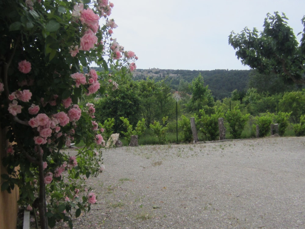 B&B Les Romarins, photo 50