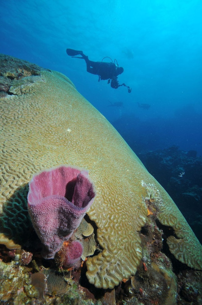 El Cozumeleno Beach Resort - All Inclusive - Property Image 56