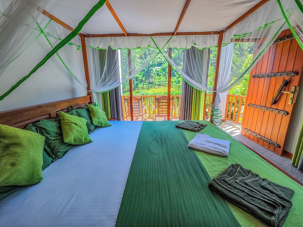 Rain Forest Vibe Sinharaja