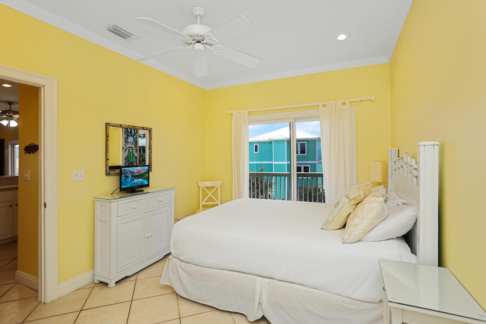Cape Palms