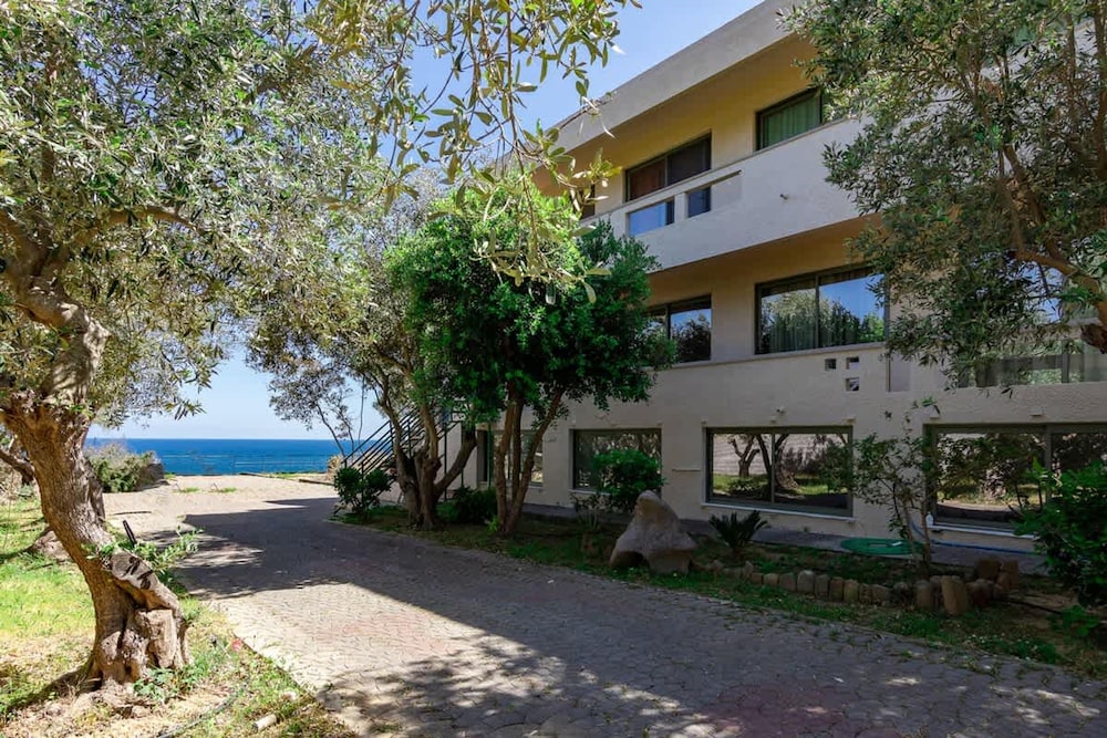 Astra Beach Studio 3