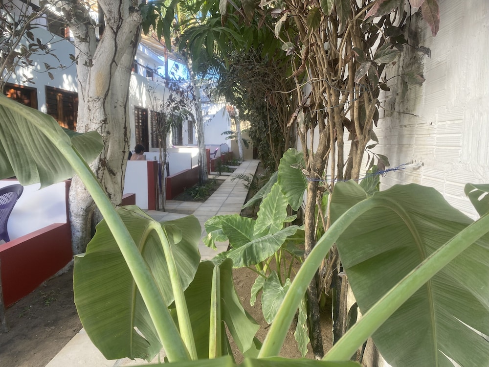 MyM Jericoacoara