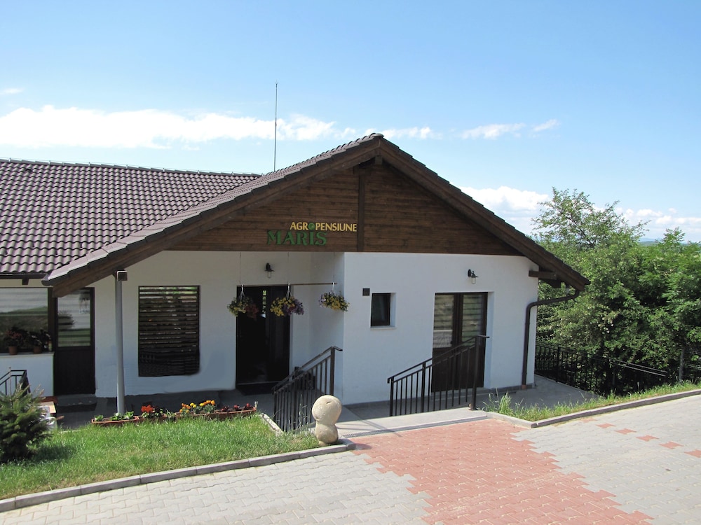 Photo 24