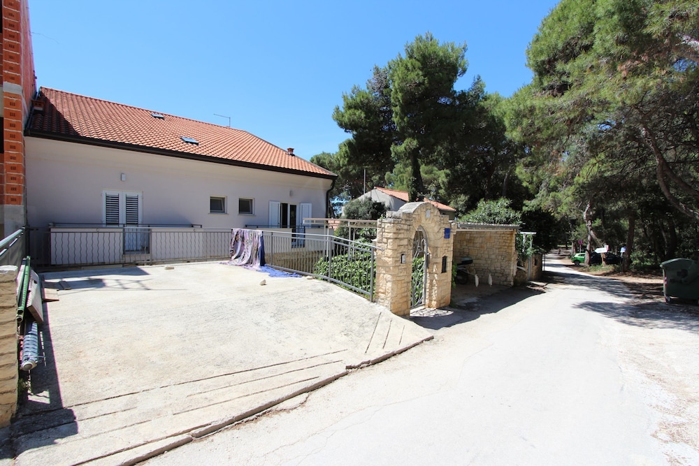 Photo 8