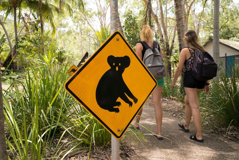 Bounce Magnetic Island