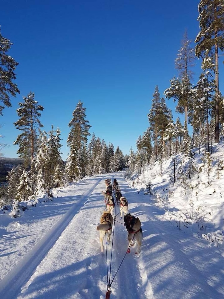 Sæteråsen Hytter & Camping