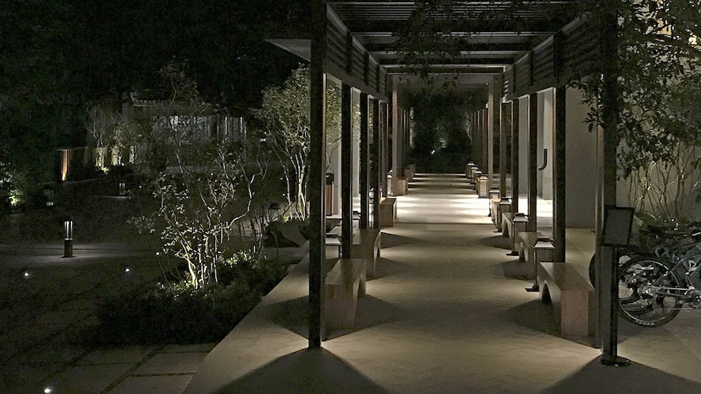 The Lucid Resort