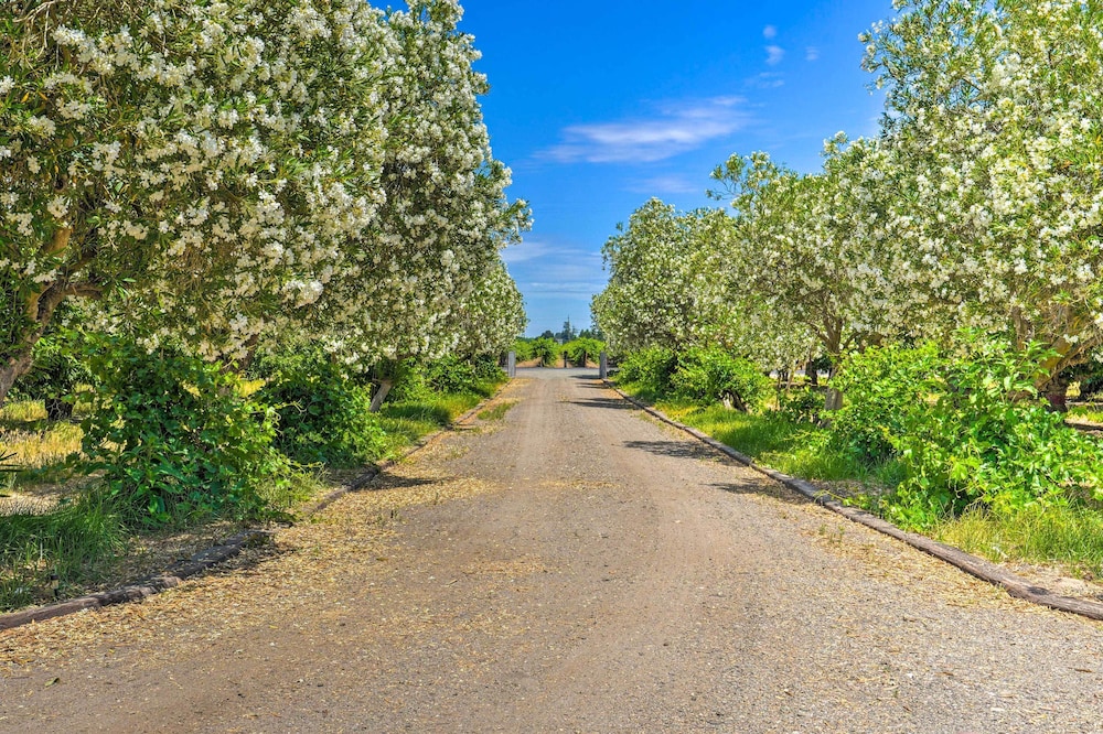 Charming Lodi Retreat: Walk to Local Wineries view 5