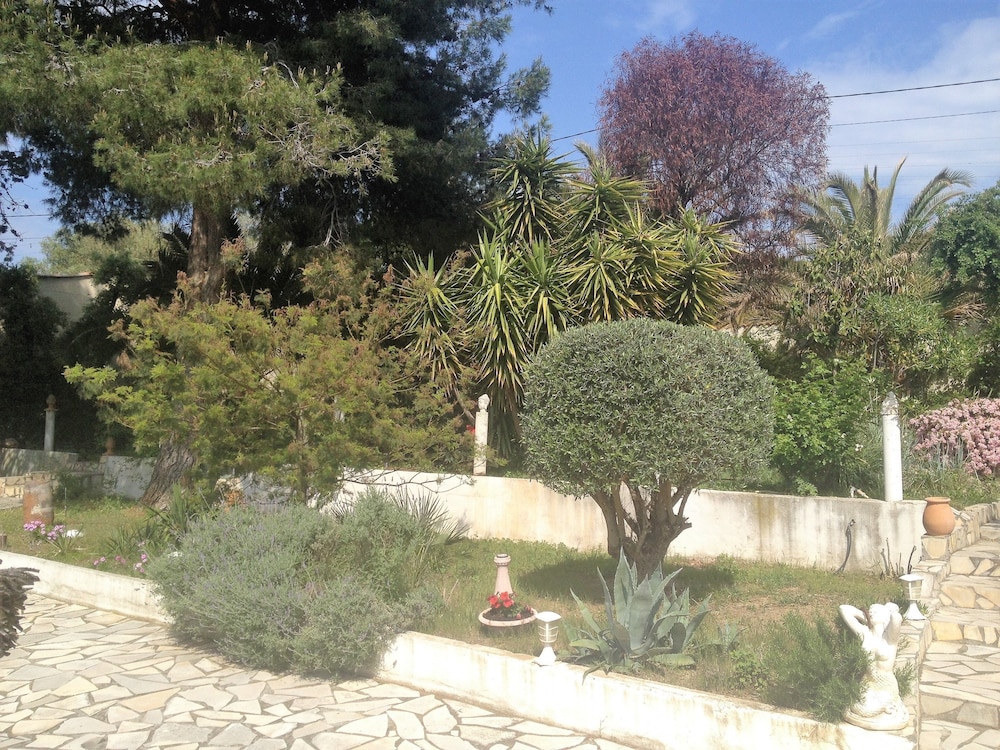 Photo 29