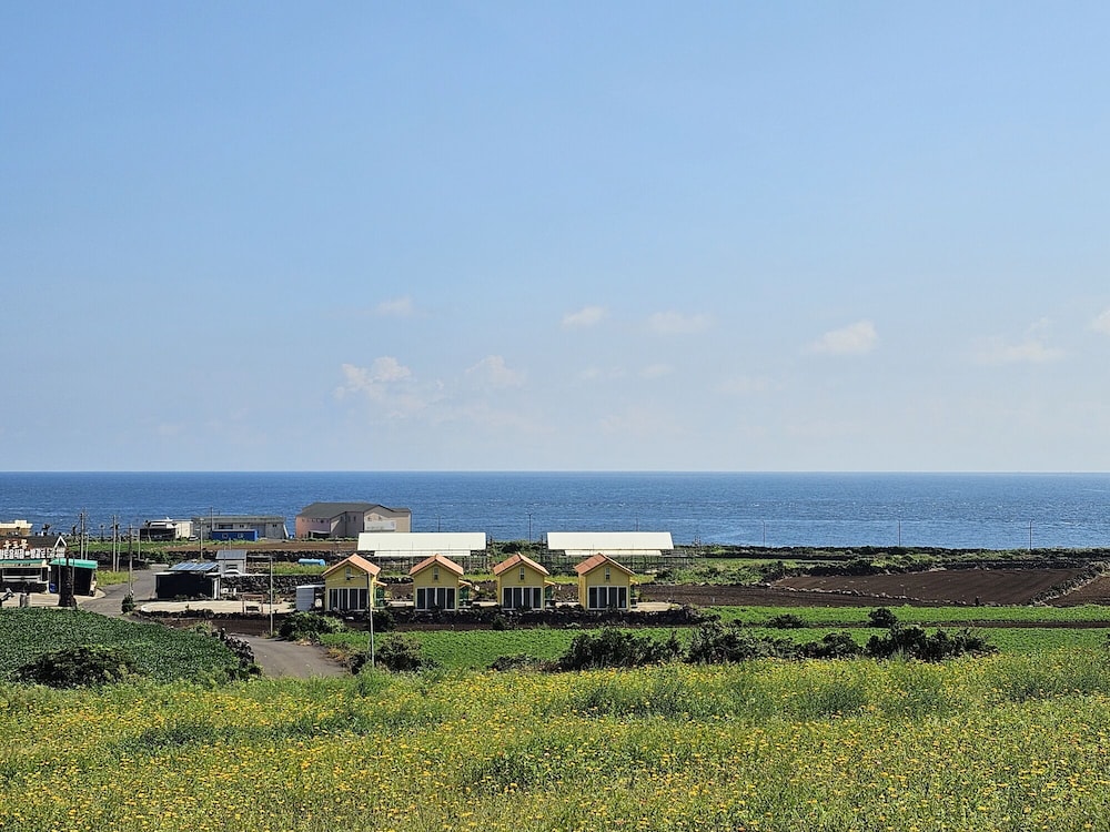 Udo Sunflower pension
