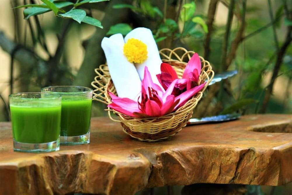 Podi Hoona Yala Safari Camp