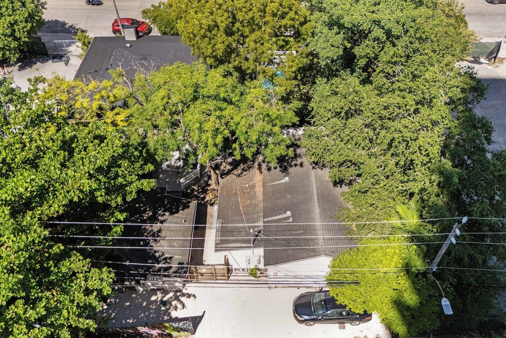 7BD Downtown Oasis Pool