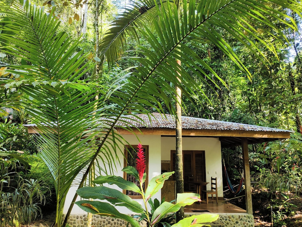FINCA ARDILLA