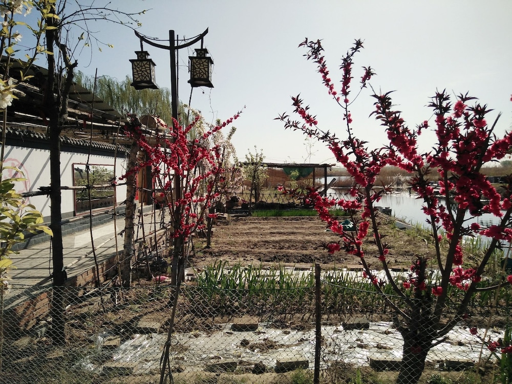 Photo 22