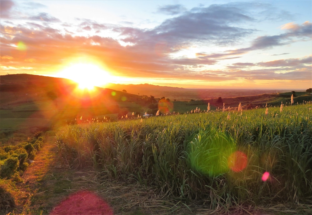 Mountain Oasis Farm Stay - view 14
