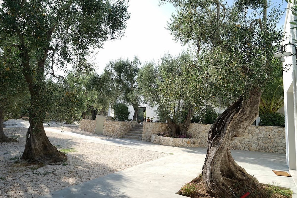 Tenuta Santa Maria