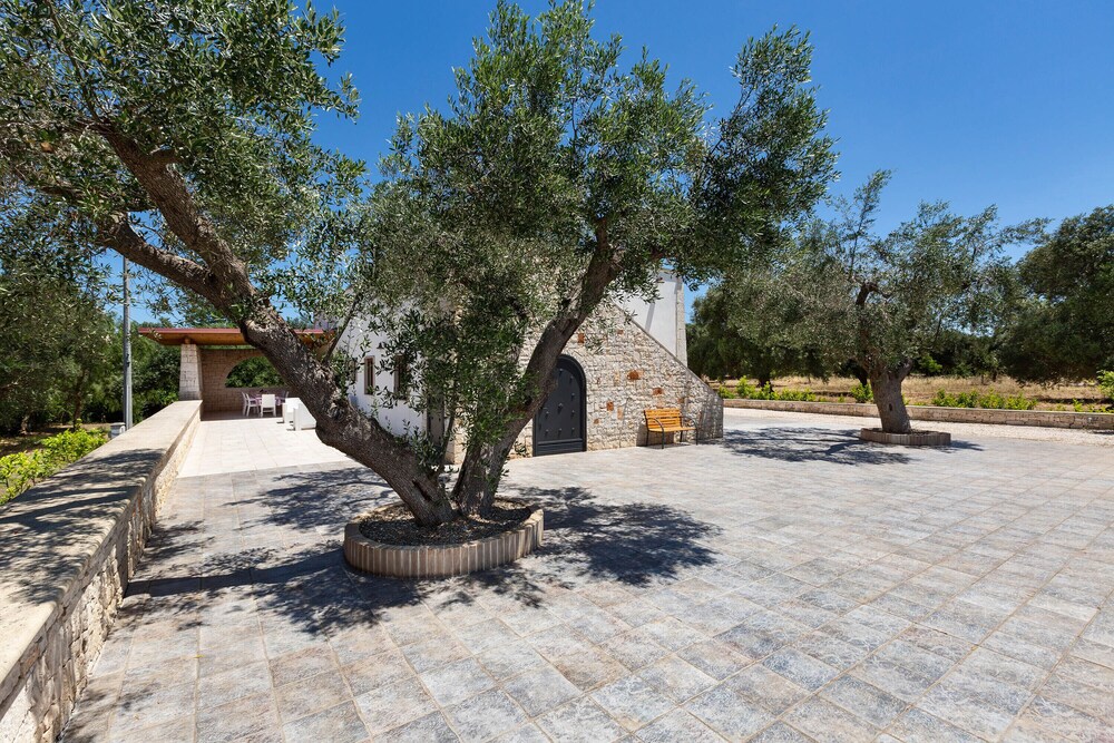 Photo 34