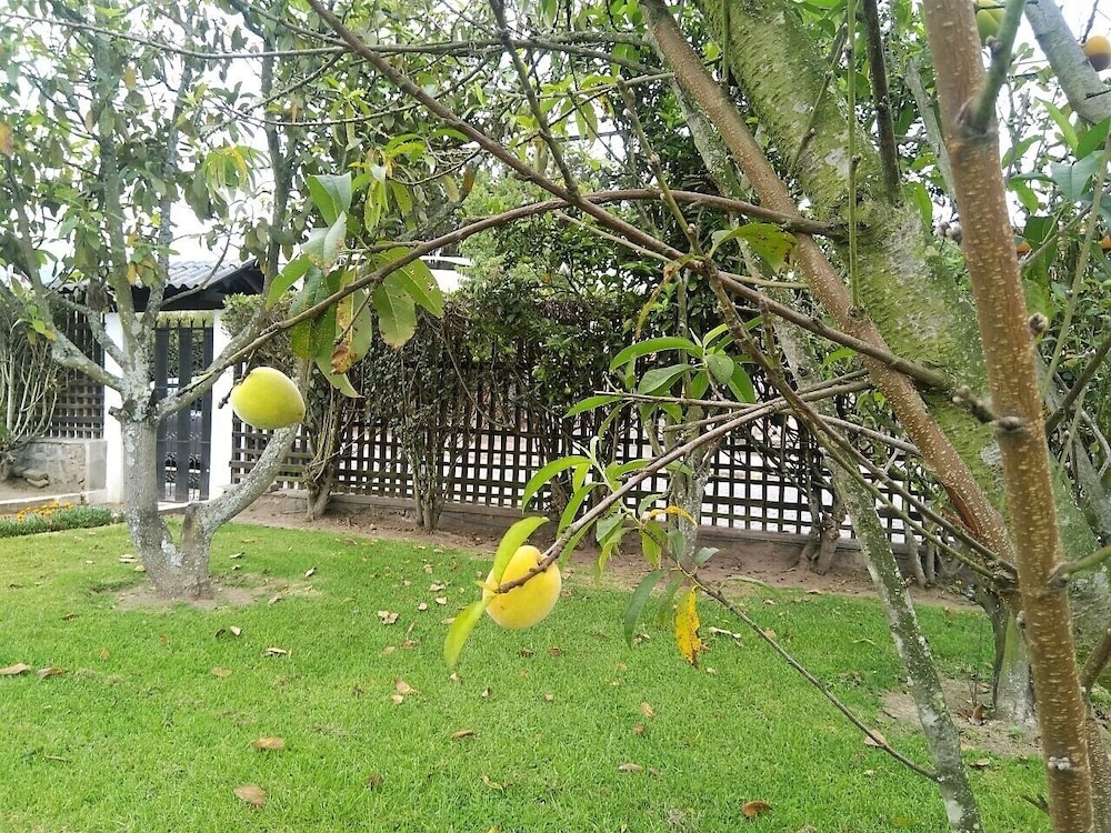 Photo 34