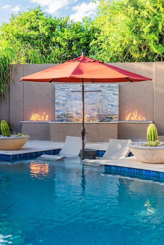 Chaparral in Paradise Valley