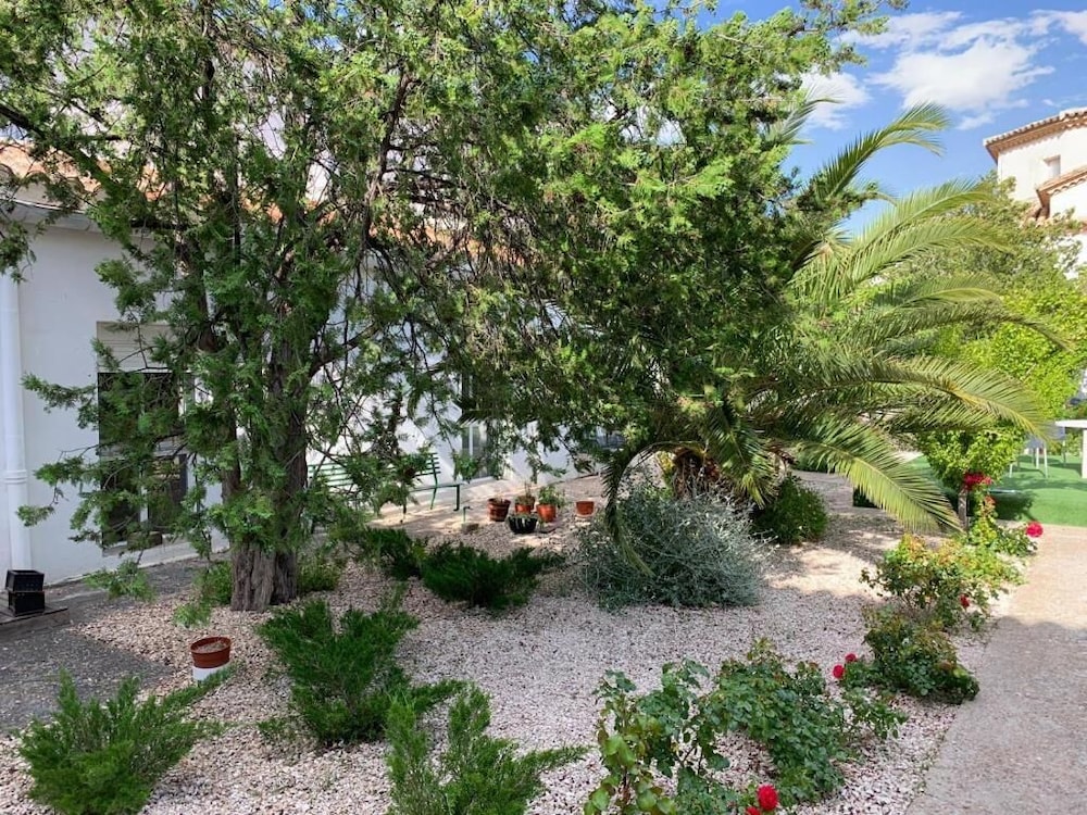 Photo 25
